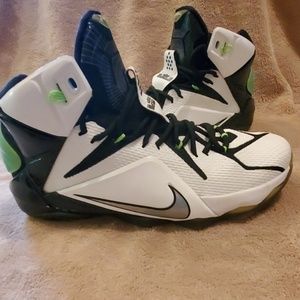 lebron goat shoes